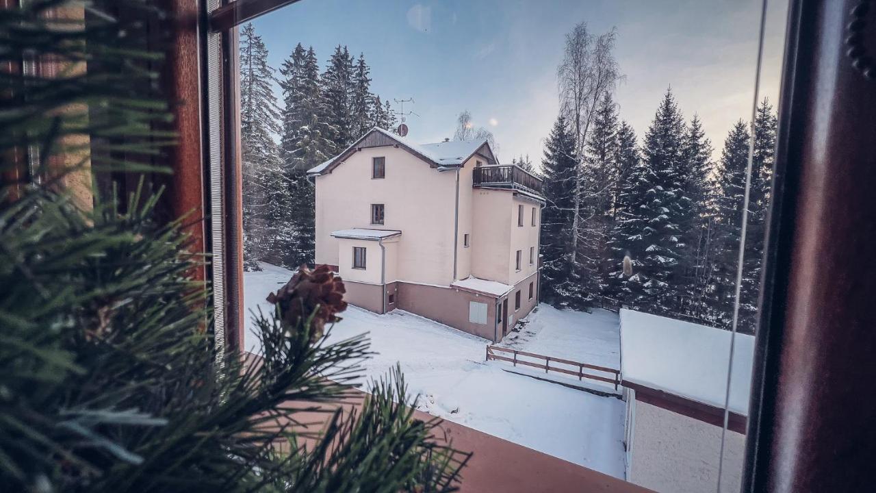 Apartmany Domino Železná Ruda Zewnętrze zdjęcie