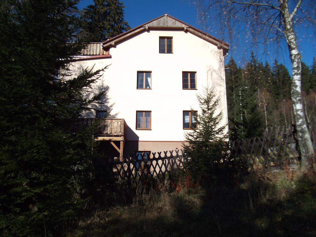 Apartmany Domino Železná Ruda Zewnętrze zdjęcie