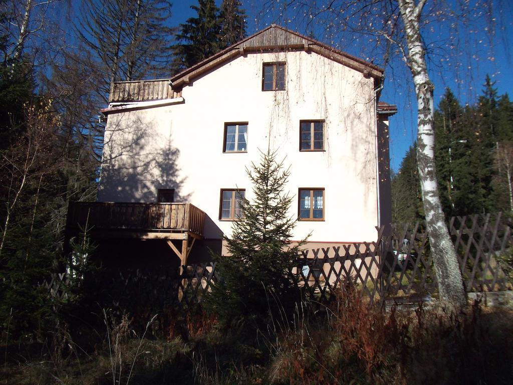 Apartmany Domino Železná Ruda Zewnętrze zdjęcie