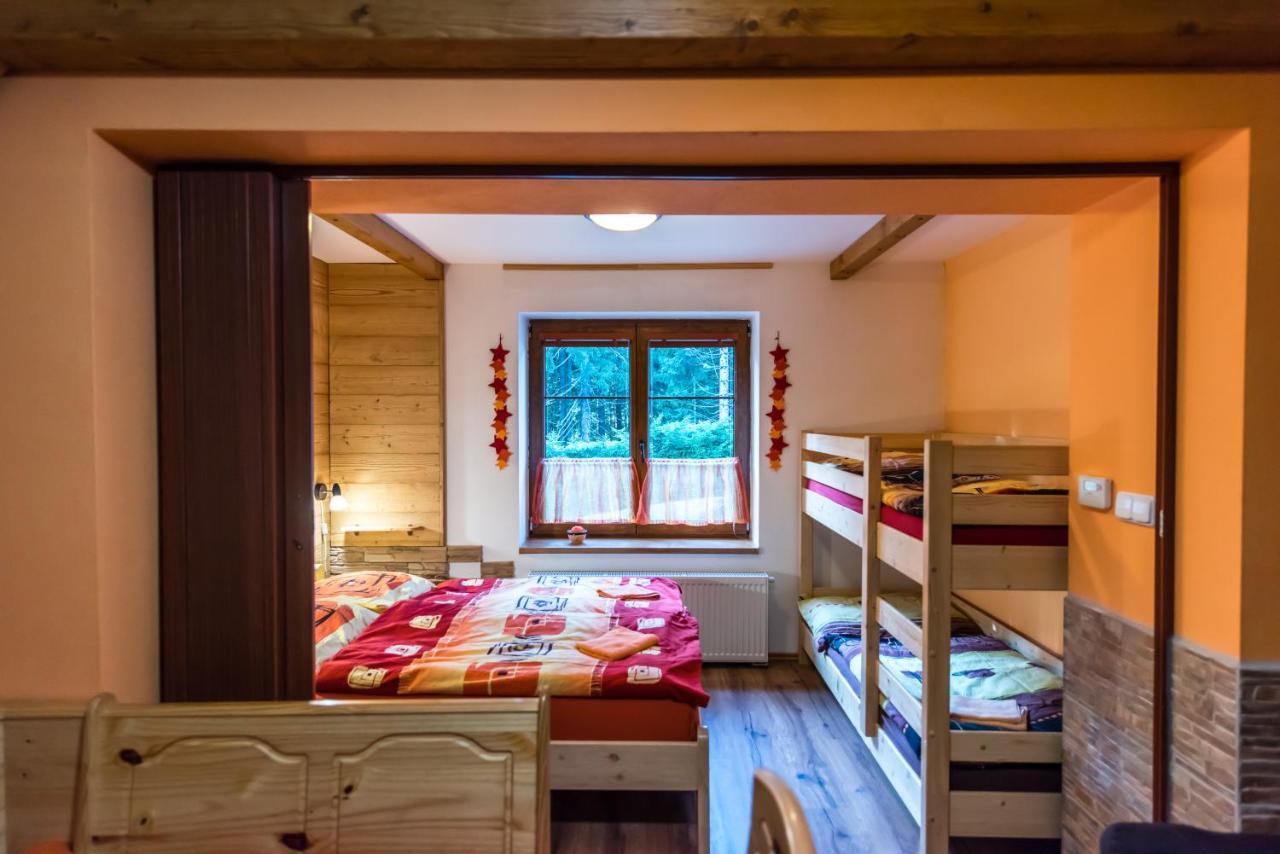 Apartmany Domino Železná Ruda Zewnętrze zdjęcie
